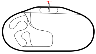 Diseño de la pista Charlotte Motor Speedway