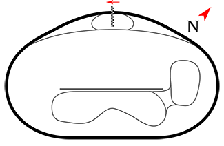 Diseño de Las Vegas Motor Speedway