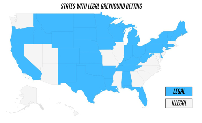 Estados donde las carreras de galgos son legales