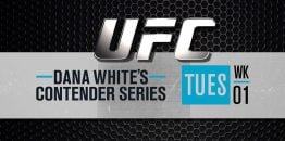 Serie contendiente de Dana Whites