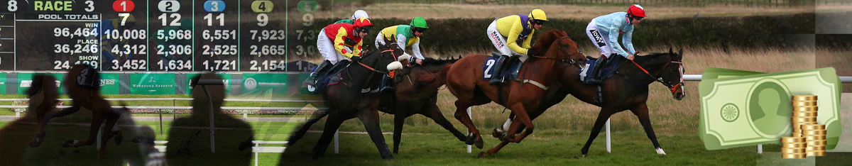 Carreras de caballos de tablero de ajedrez y apuestas de dinero