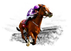 Las carreras de caballos