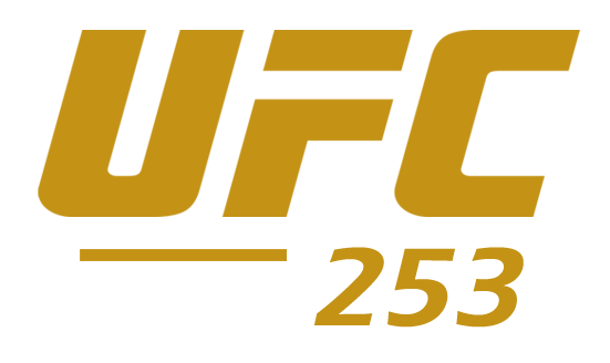 Logotipo de UFC 253